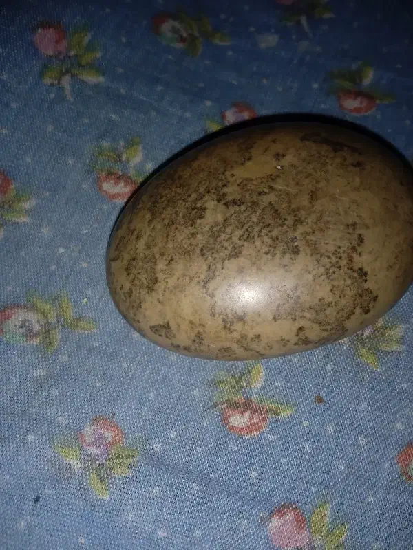 سنگ زیبا و طبیعی تراش نخورده|کلکسیون اشیاء عتیقه|خوی, |دیوار