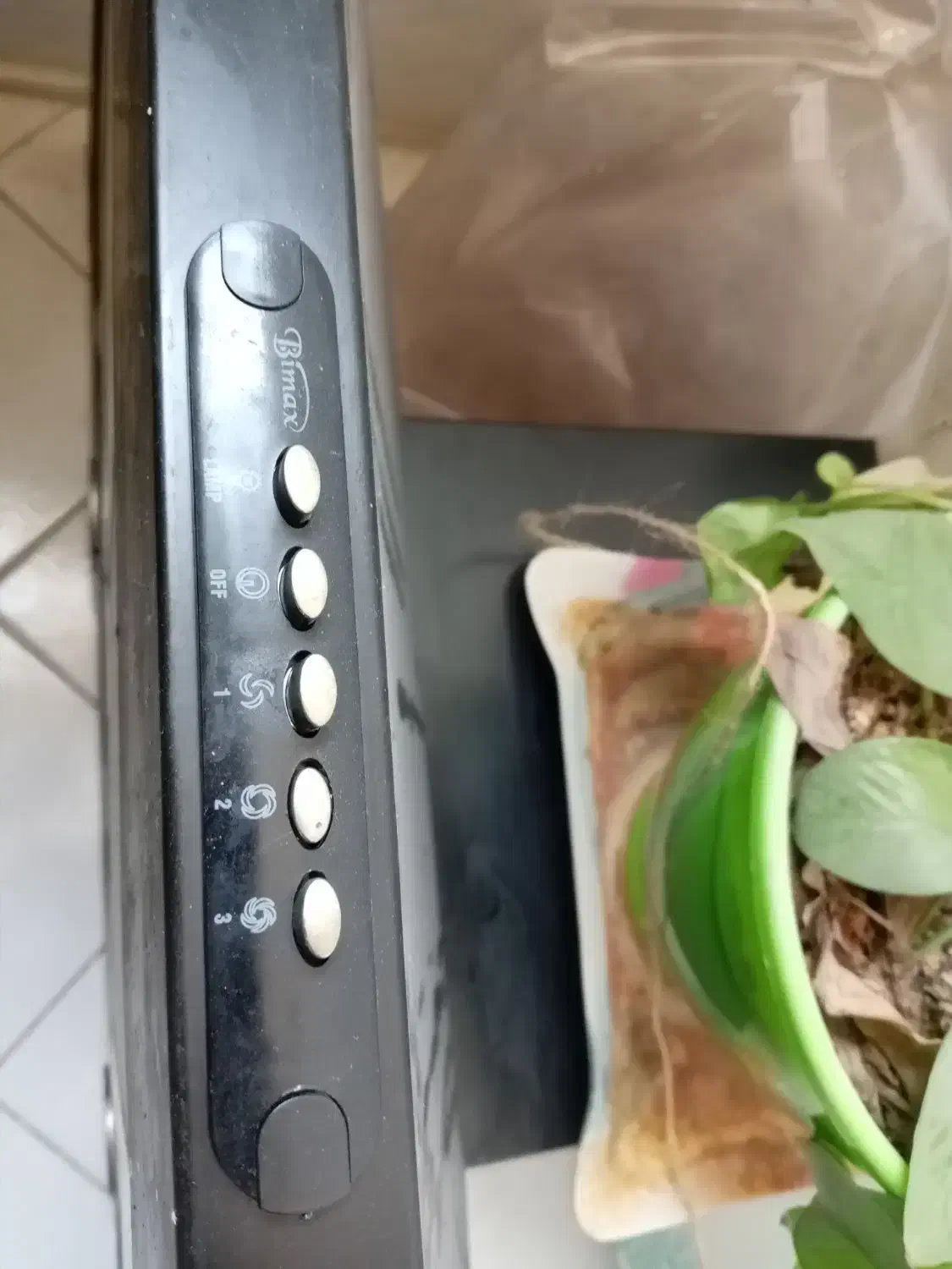 هود|هود|مشهد, مقدم|دیوار