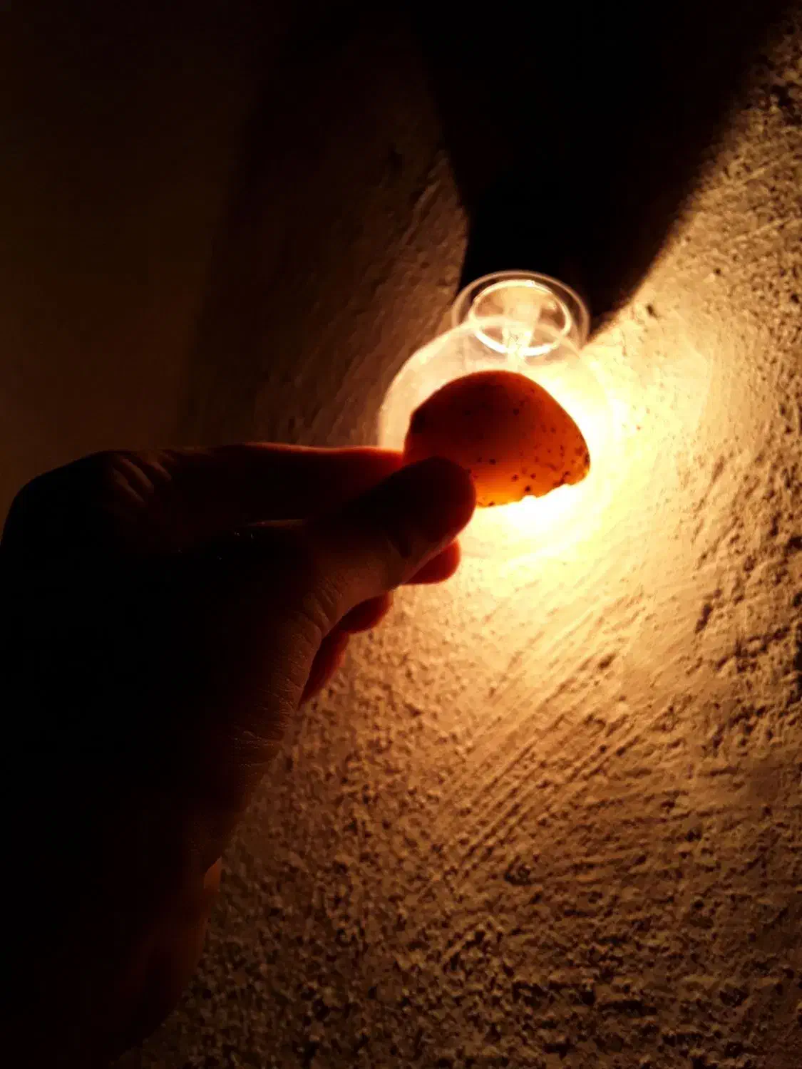 سنگ|بدلیجات|قزوین, |دیوار