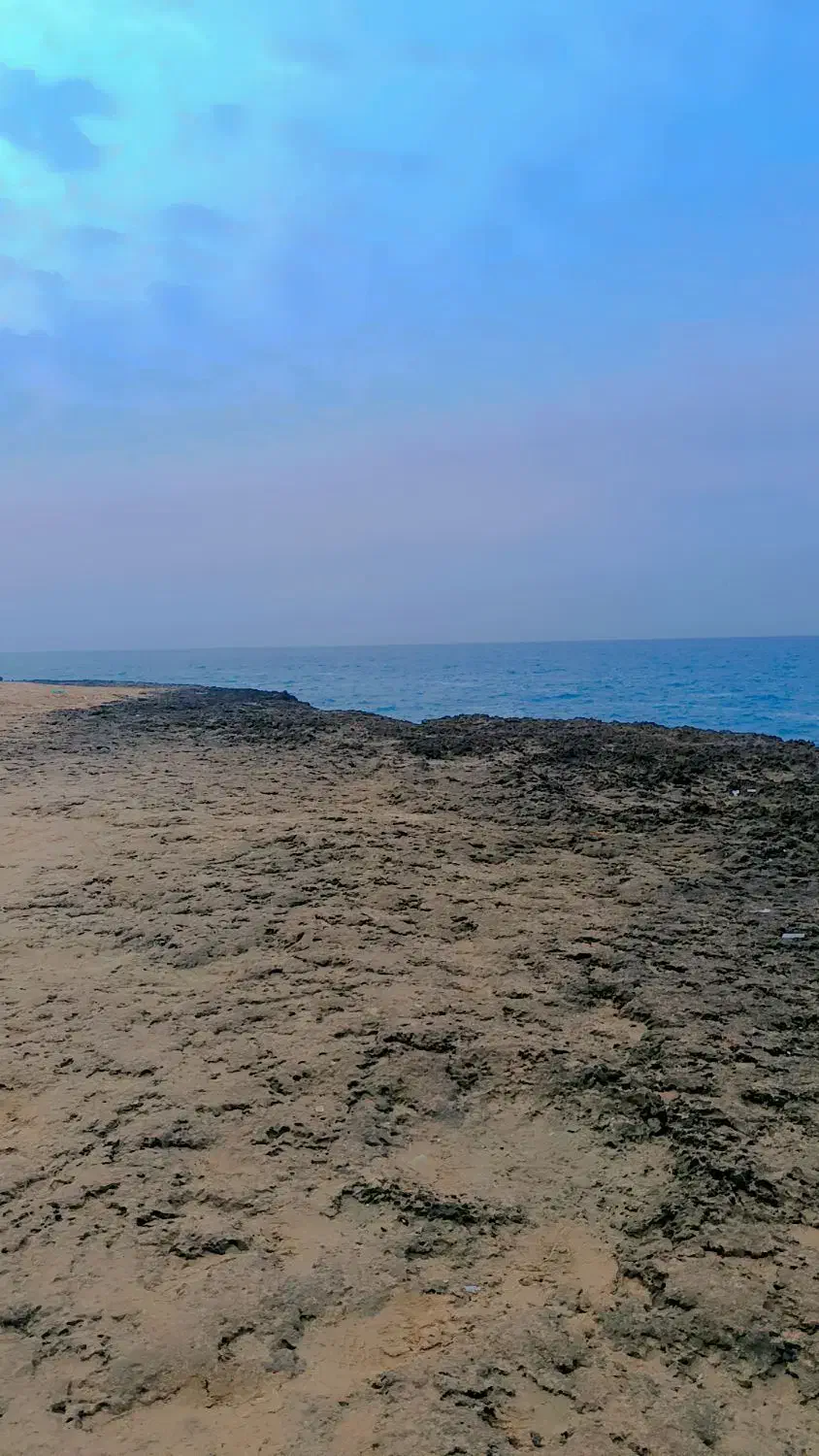 تاکسی با راننده خانم|خدمات حمل و نقل|چابهار, |دیوار