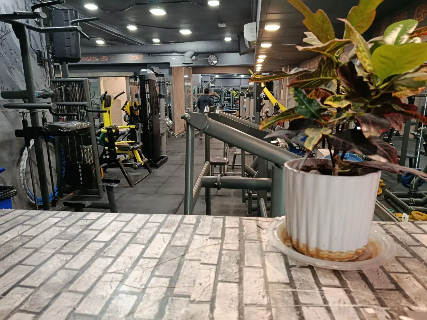 بوفه باشگاه بدنسازی صدرا|اجارهٔ مغازه و غرفه|صدرا-فارس, فاز ۱|دیوار