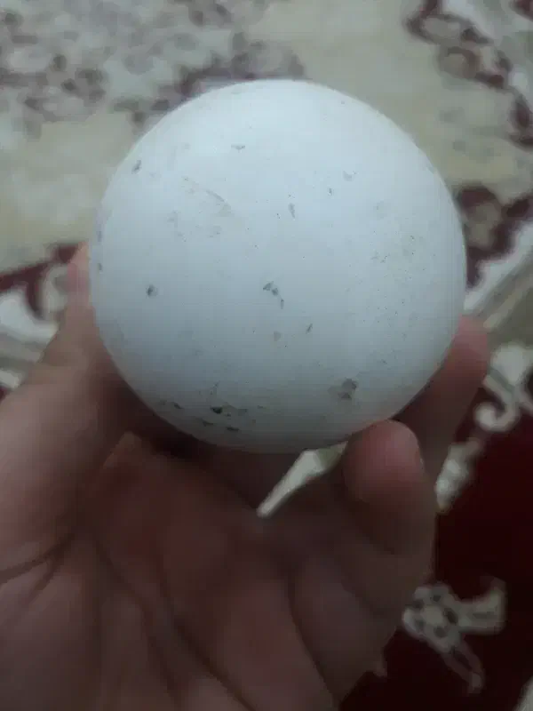 سنگ آسیاب|کلکسیون اشیاء عتیقه|ملایر, |دیوار