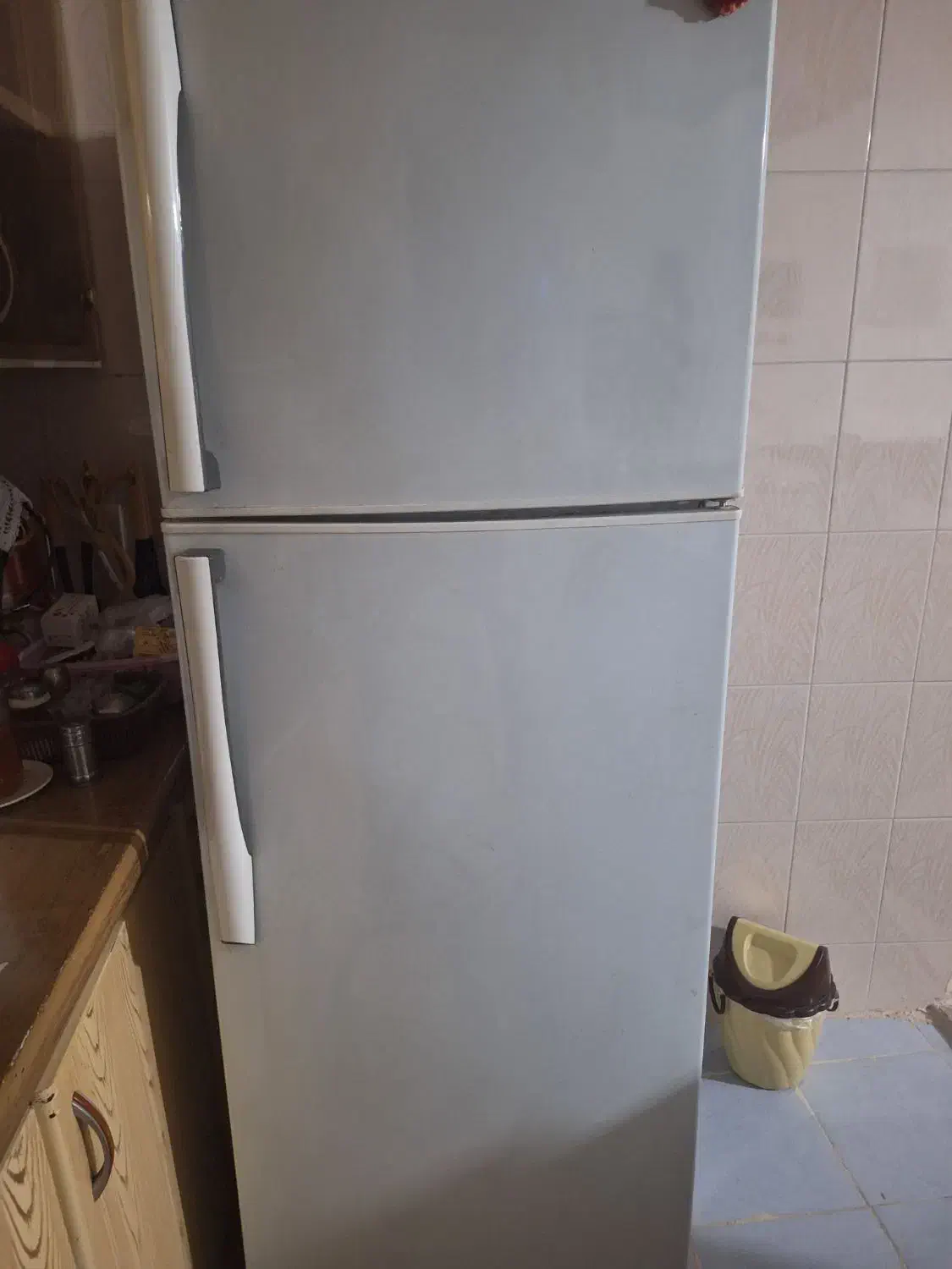 یخچال در حد نو|یخچال و فریزر|شیراز, سعدیه شمالی|دیوار