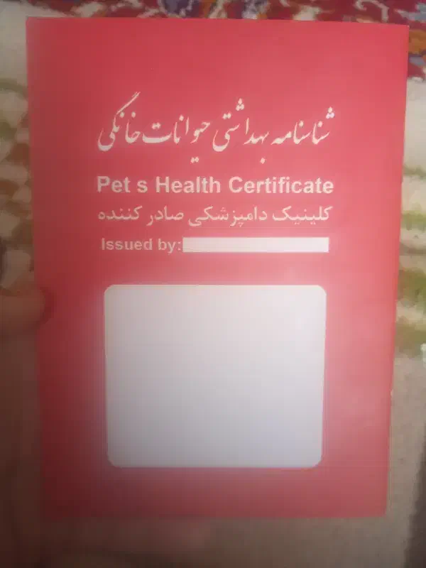 زرنگ|سگ|کرمانشاه, |دیوار