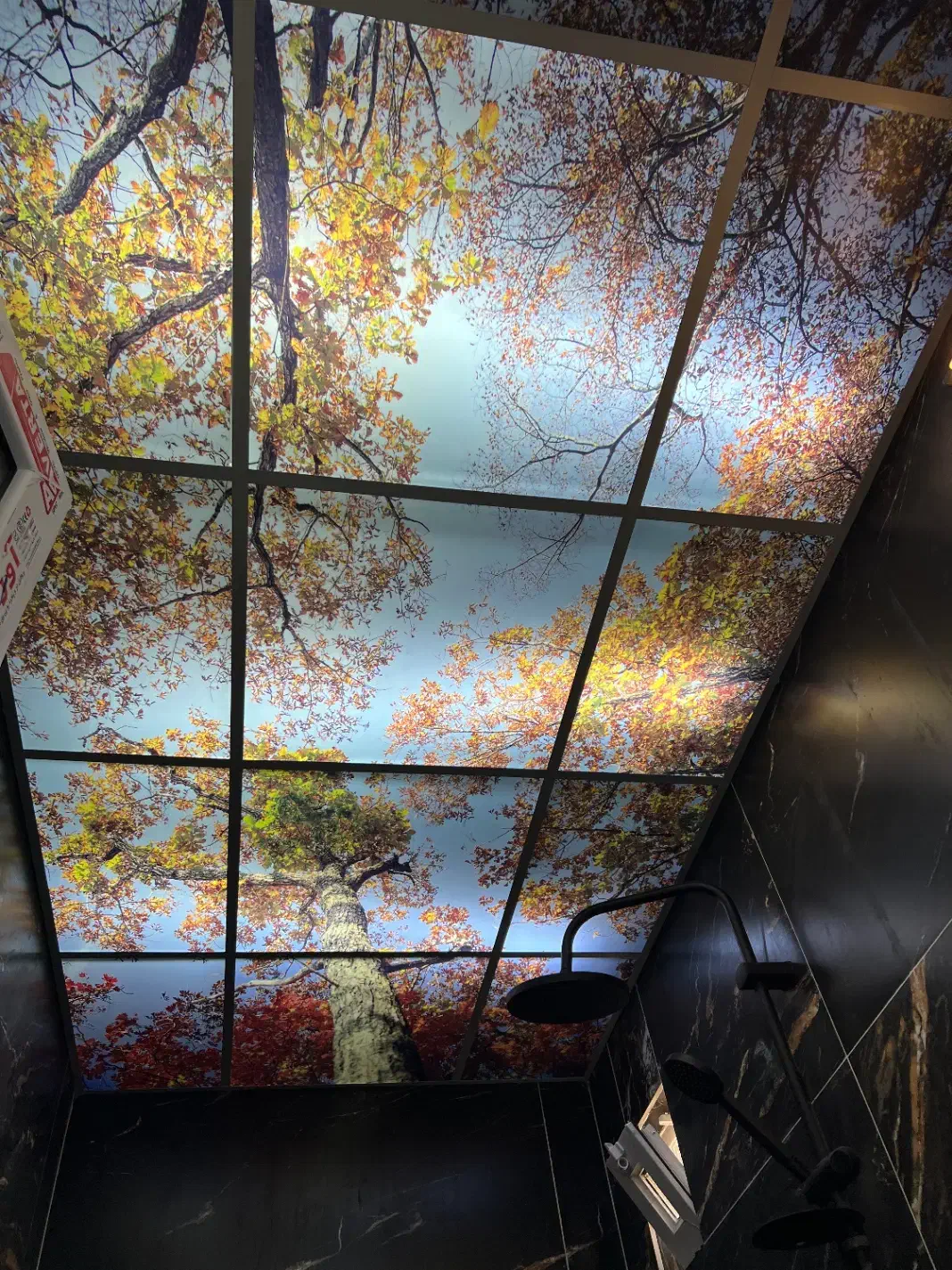 فروش و اجرا سقف کاذب و دیوار پوش و قرنیز نوری|خدمات پیشه و مهارت|نوشهر, |دیوار