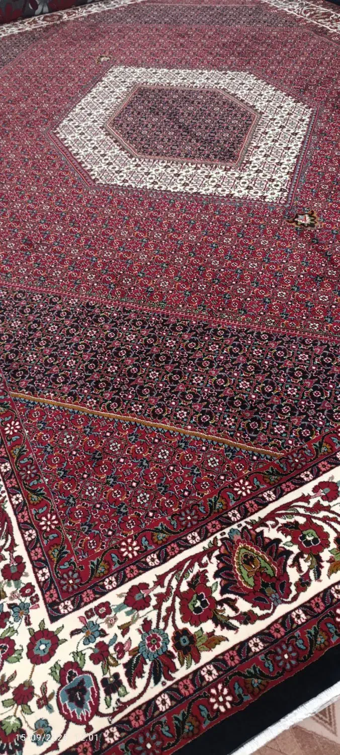 فرش ۱۲متری|فرش|بروجرد, |دیوار