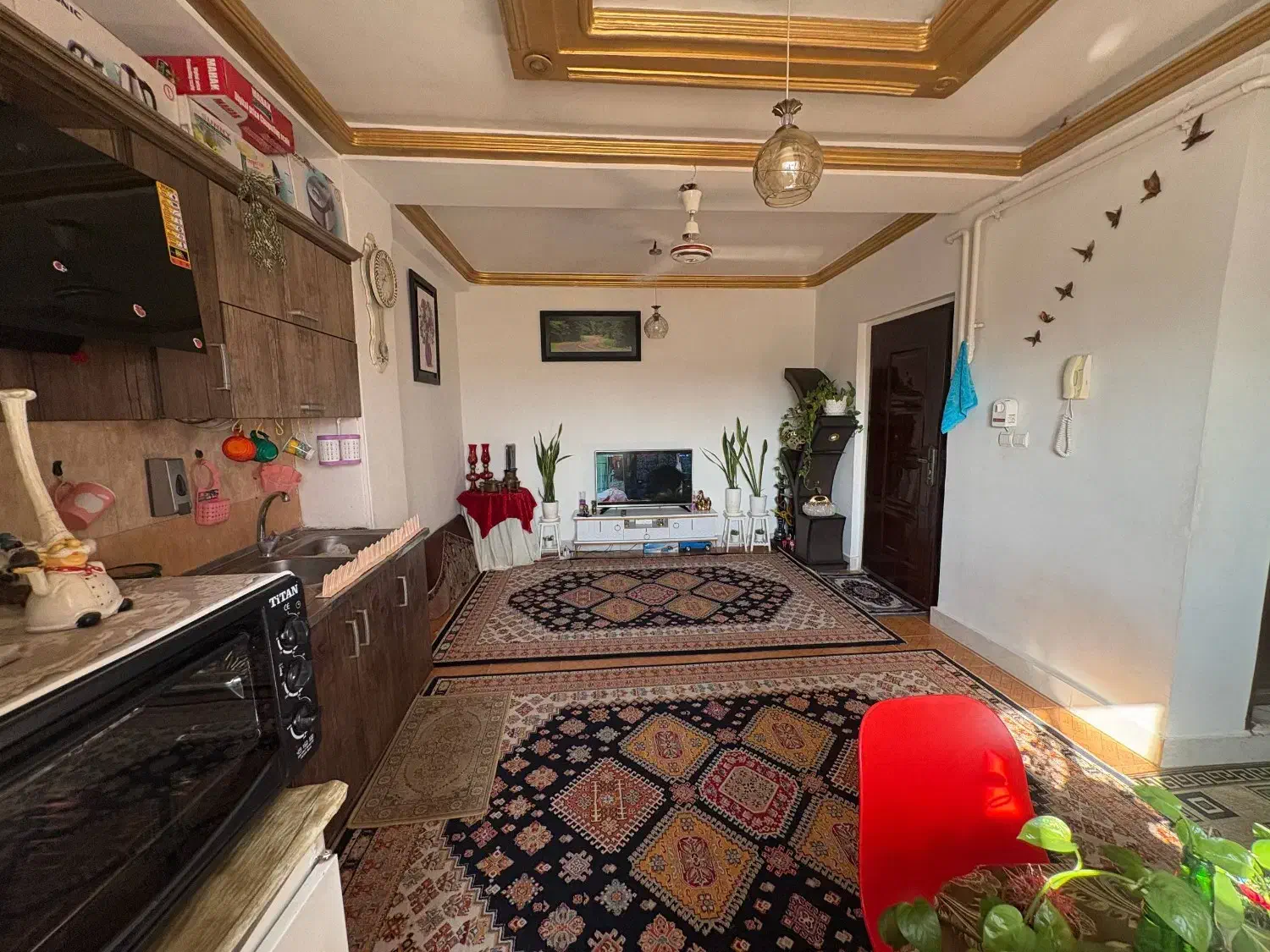 فروش اپارتمان 55 متری تک خواب فول|فروش آپارتمان|بندر گز, |دیوار