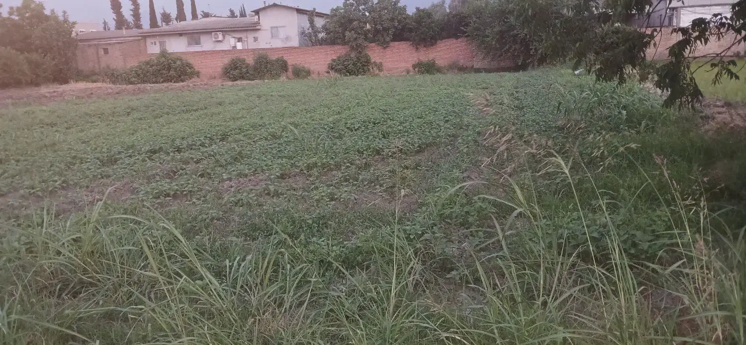 فروش یک قطعه زمین مسکونی به مساحت ۲۰۰ متر (۱۰×۲۰)|فروش زمین و ملک کلنگی|مزرعه کتول, |دیوار