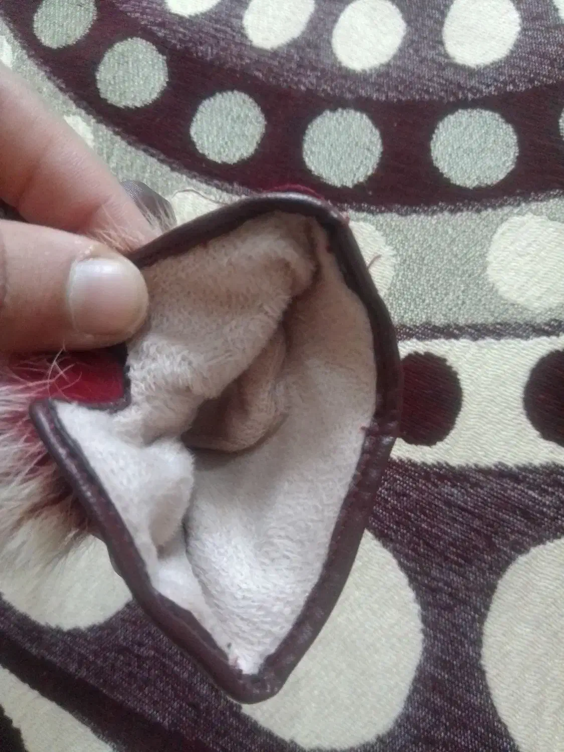 دستکش چرم تو خز نو|لباس|تبریز, |دیوار