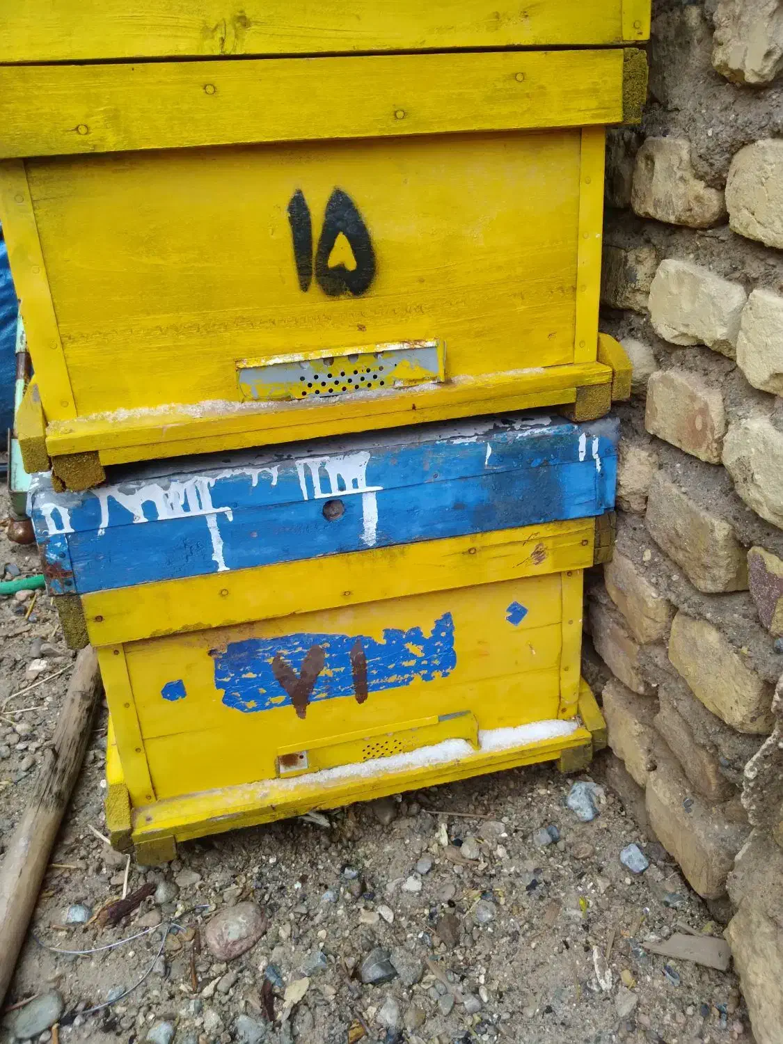 کندو|حیوانات مزرعه|بوانات, |دیوار