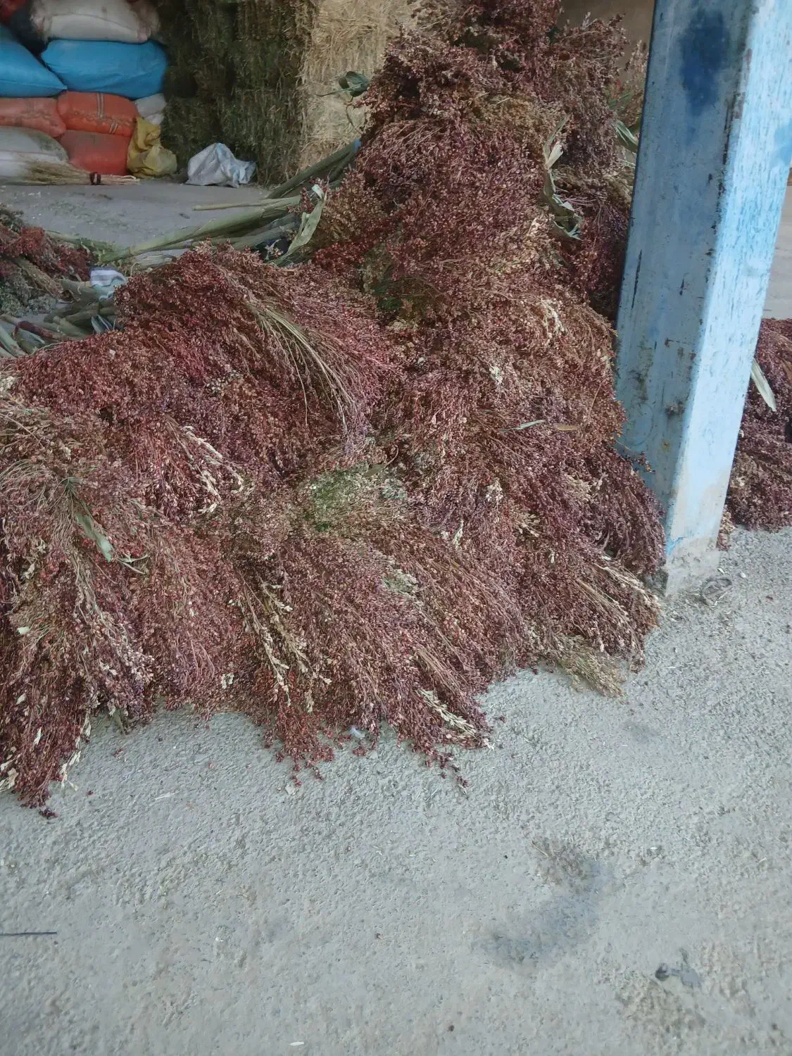 جارو درجه یک|لوازم نظافت|الشتر, |دیوار