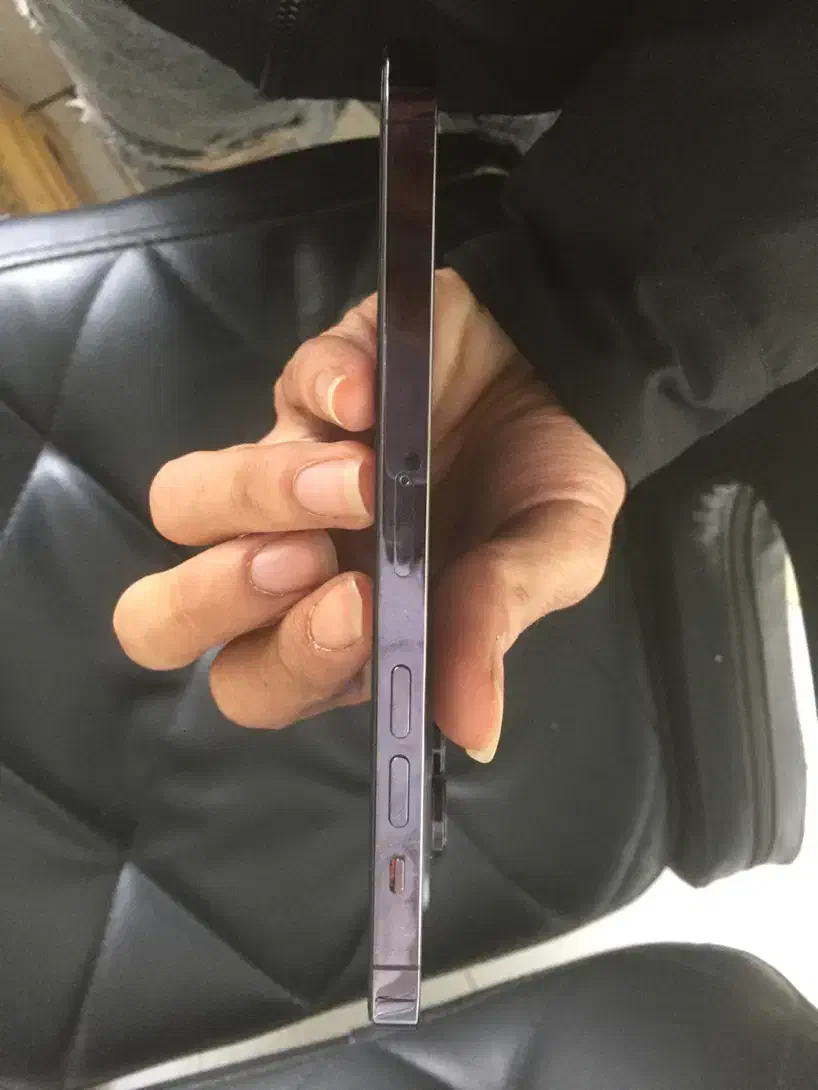 ایفون 14 پرو مکس|موبایل|بابل, |دیوار