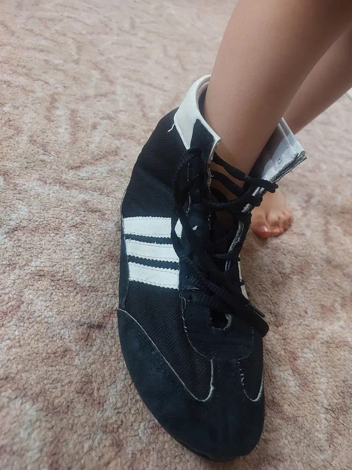 کفش کشتی|تجهیزات ورزشی|قم, شاه سید علی|دیوار