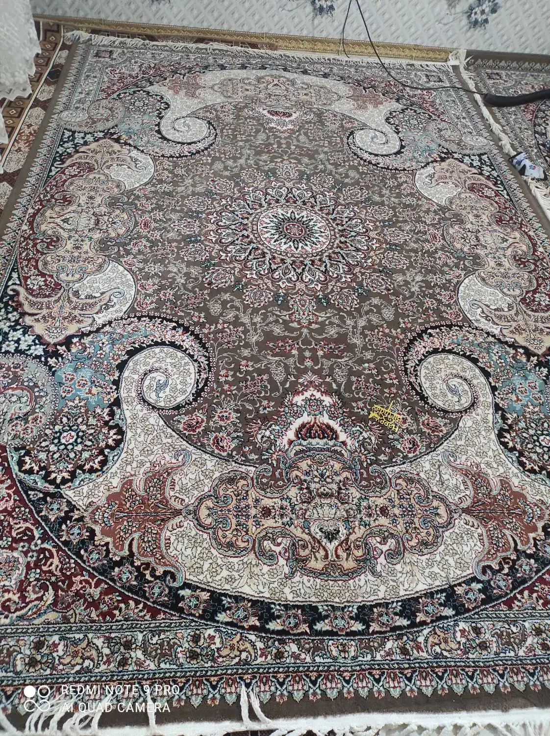 فرش 6متری|فرش|کرمانشاه, |دیوار