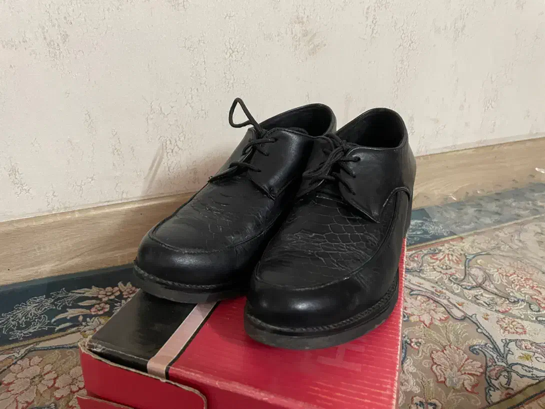 کفش چرم طبیعی زنانه|کیف، کفش، کمربند|ری, شهید غیوری (ابن باویه)|دیوار