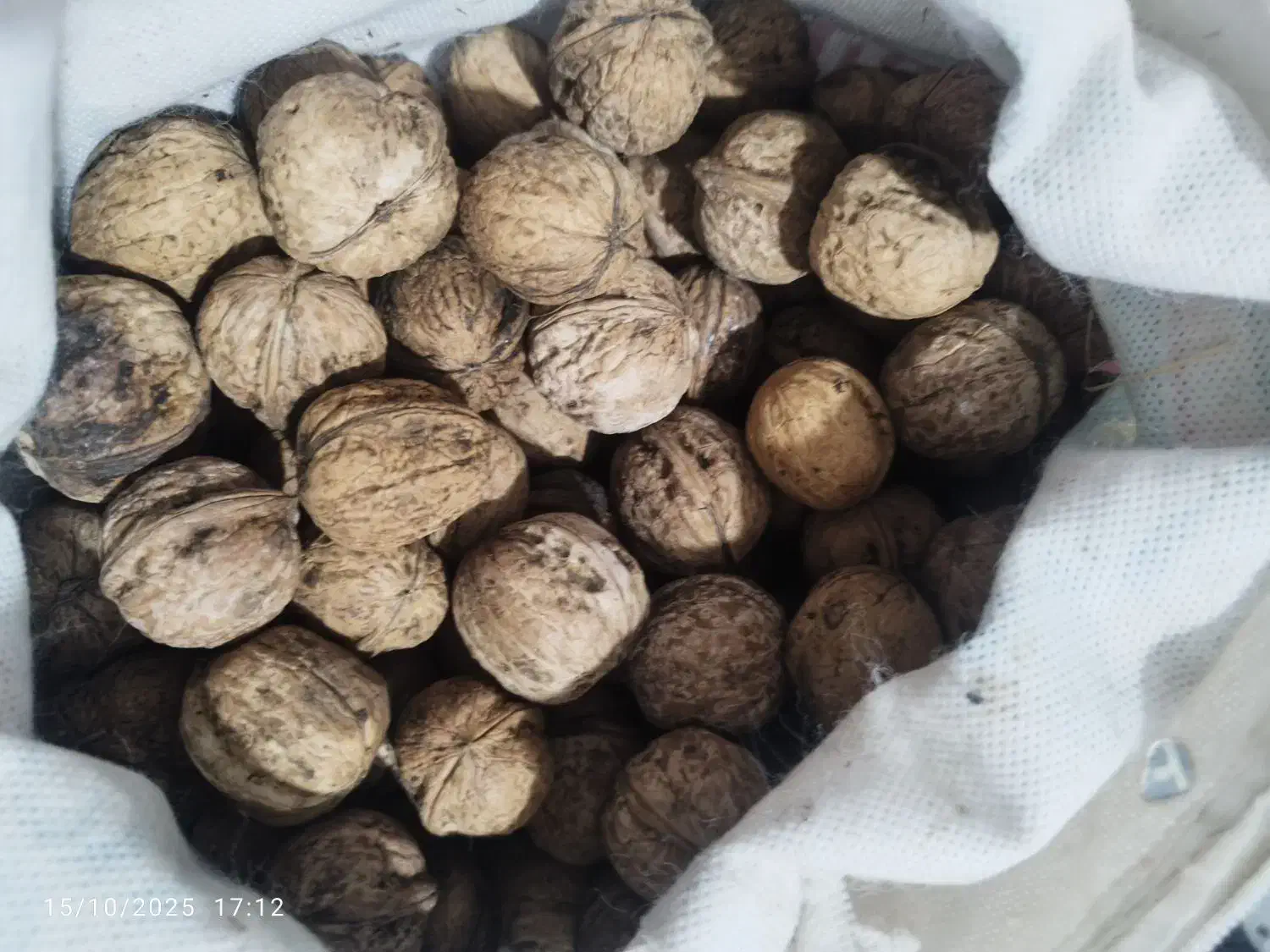 گردوشاهجهان|خوردنی و آشامیدنی|شیروان (خراسان), |دیوار