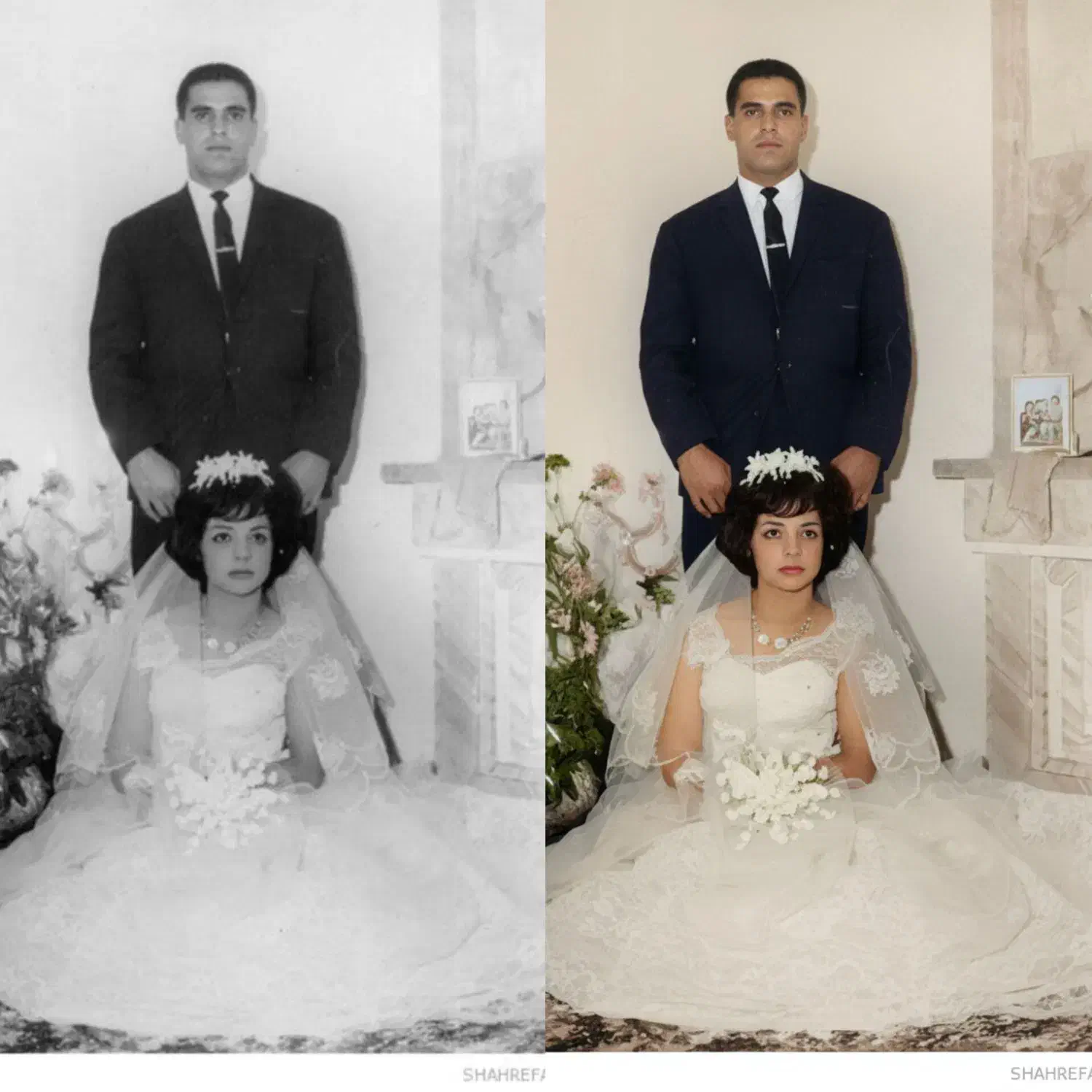 عکس آلبومی|تابلو، نقاشی، عکس|تربت جام, بوستان وحدت|دیوار