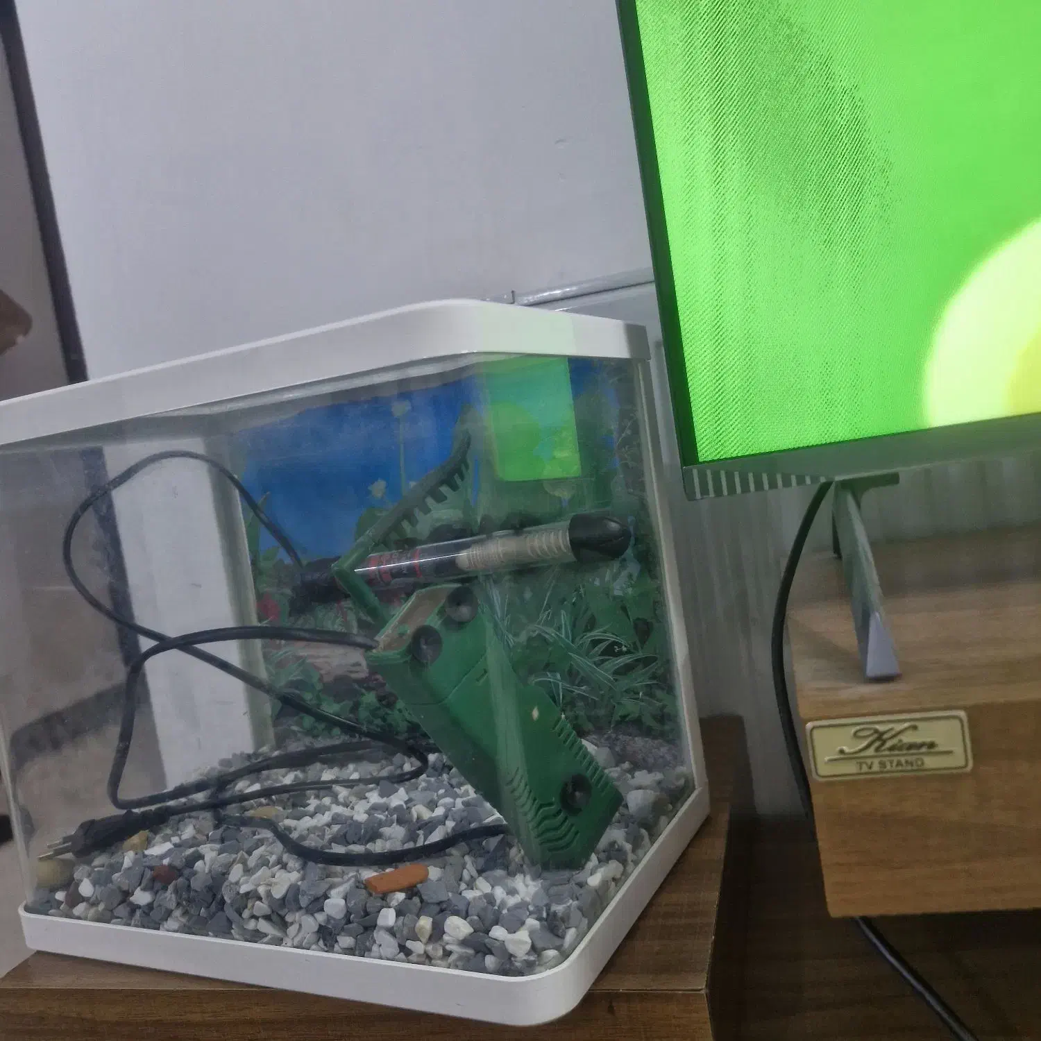 آکواریوم شرکتی|ماهی|قم, زنبیل آباد|دیوار