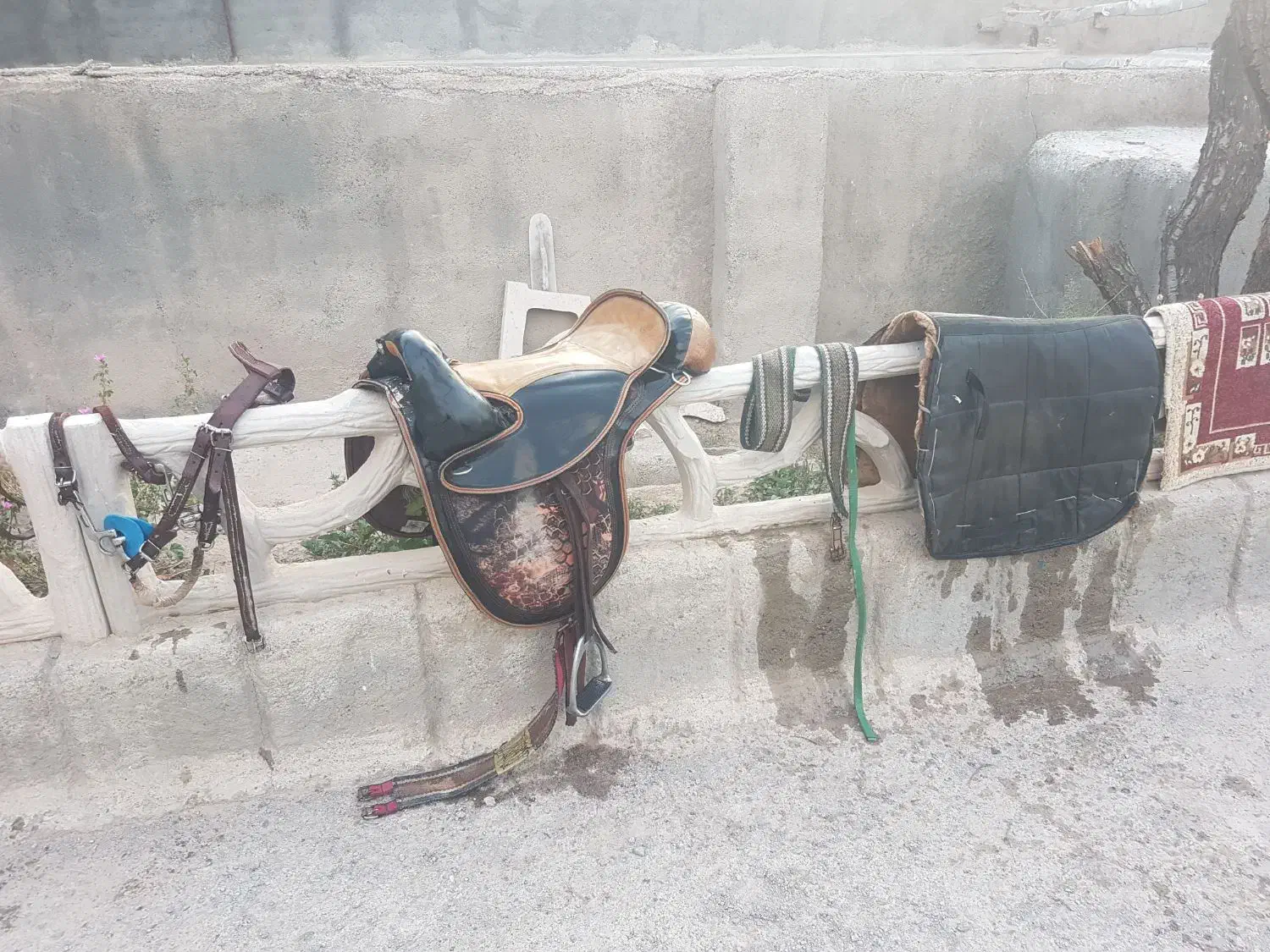 وسایل اسب سواری صفر تاصد موجوده|اسب و تجهیزات اسبسواری|باخزر, |دیوار