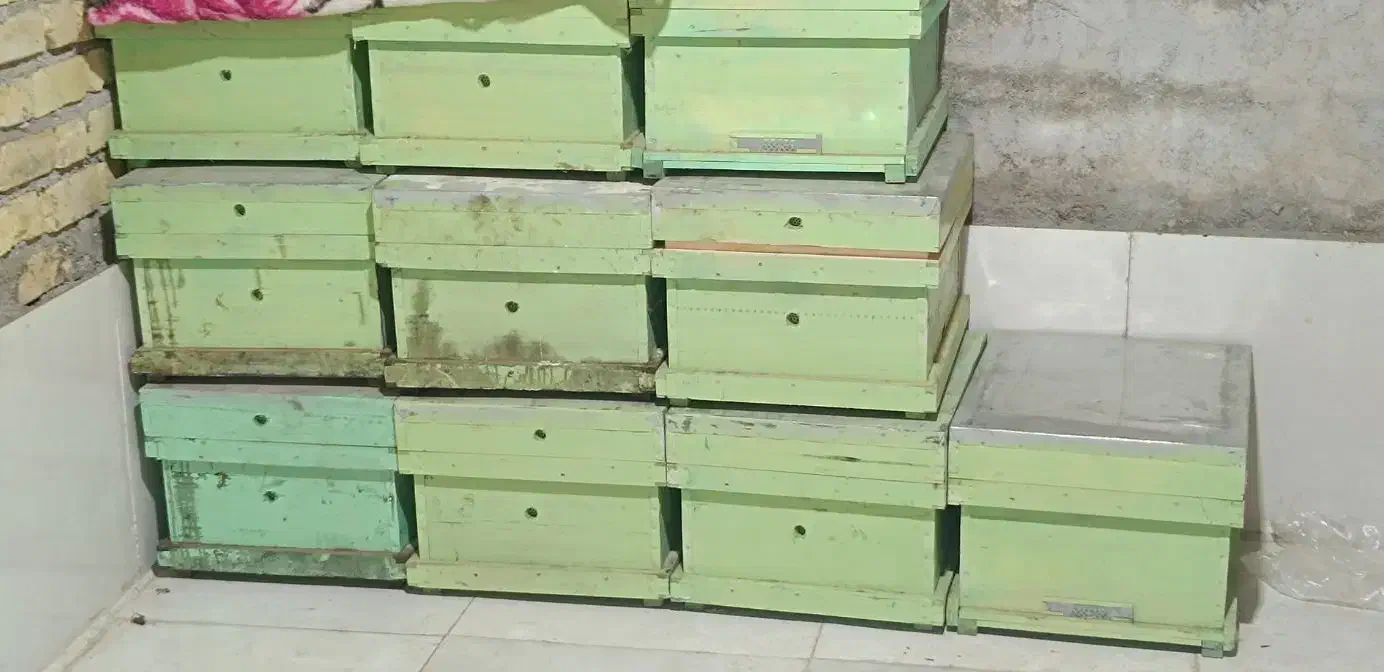 کندو خالی زنبور|لوازم جانبی حیوانات|شیراز, اصلاح‌نژاد|دیوار