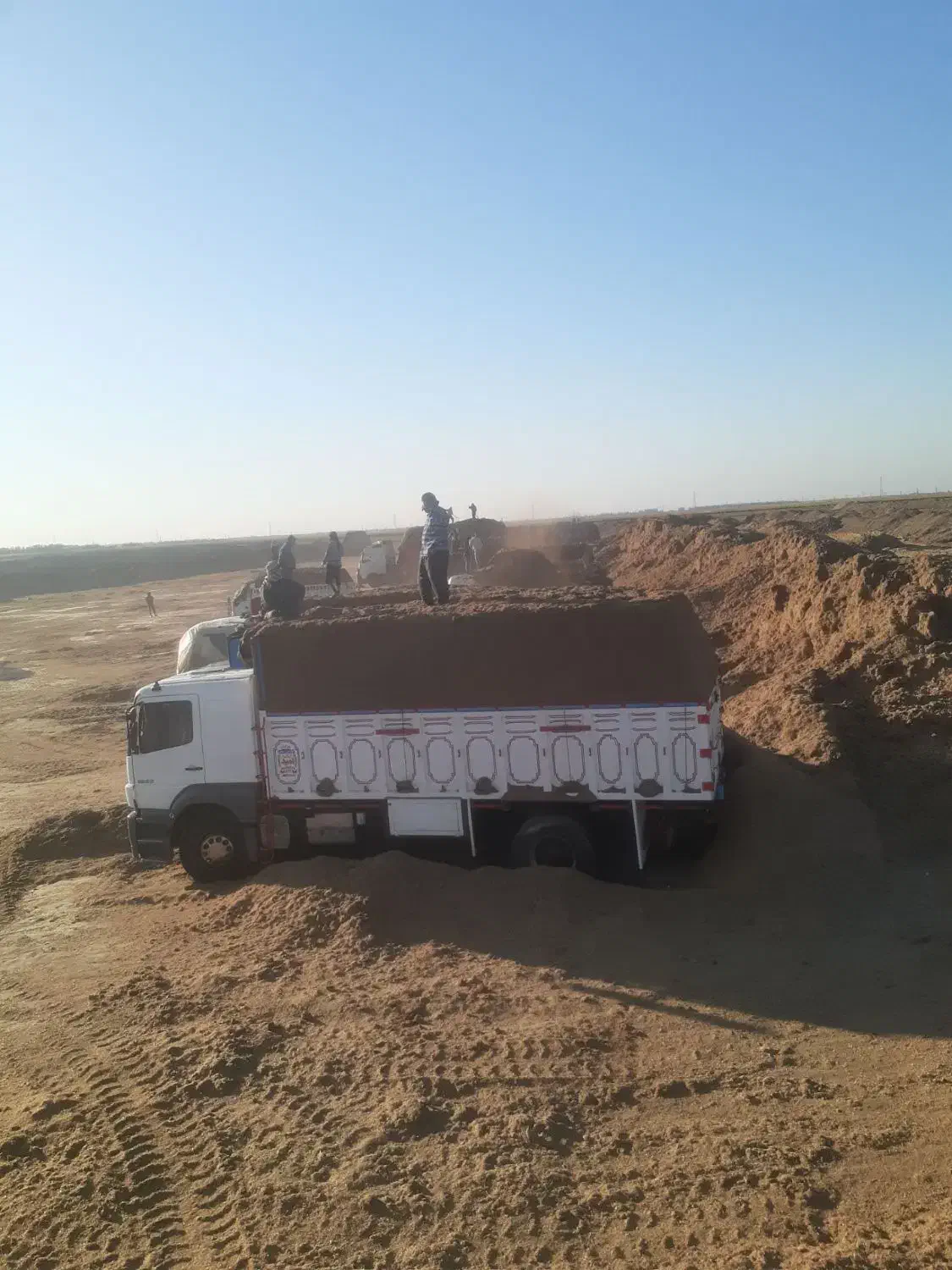 کاه نیشکر|لوازم جانبی حیوانات|خرم‌آباد, |دیوار