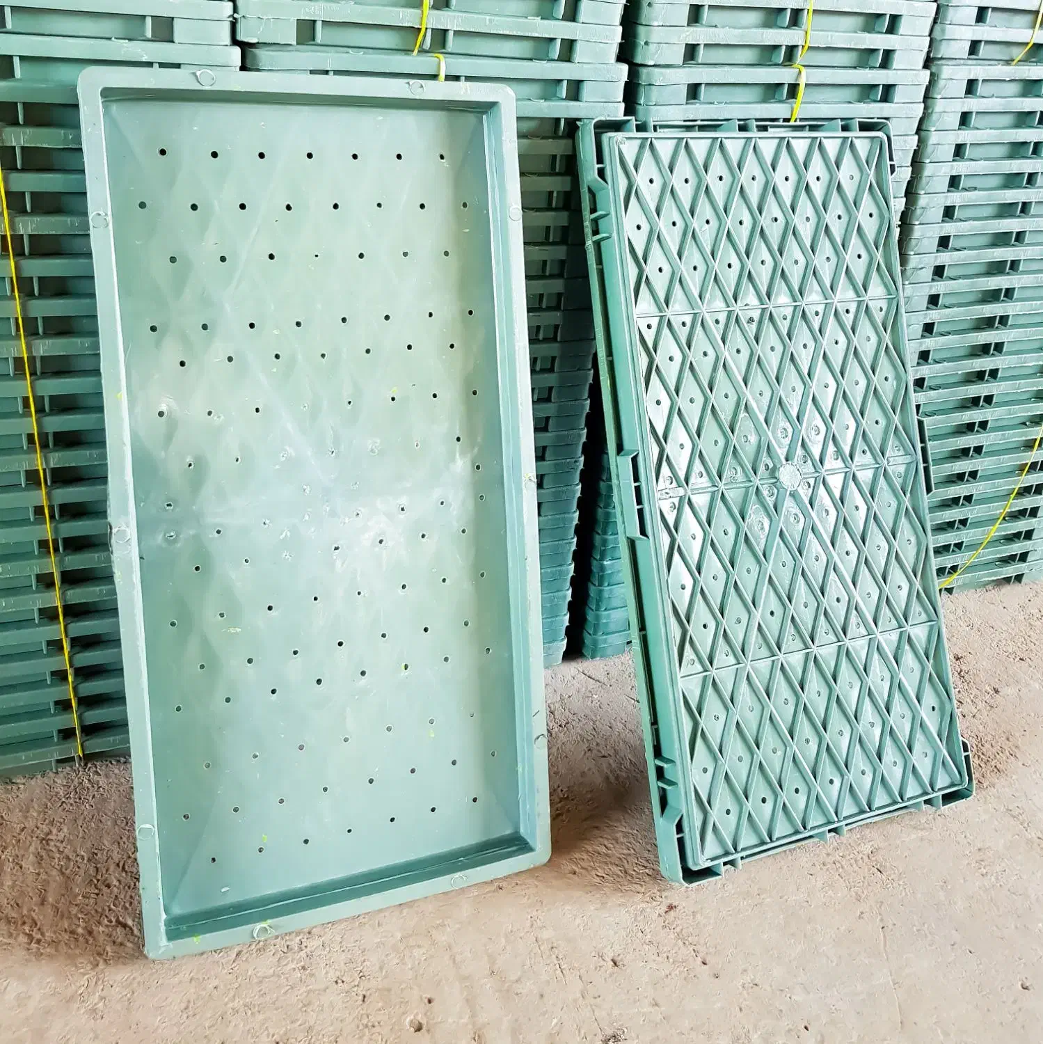 فروش سینی نشا|خدمات باغبانی و درختکاری|میانه, |دیوار