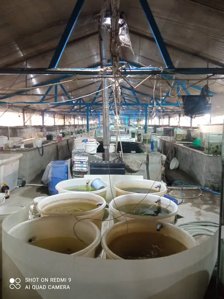 استخدام پرورش ماهی|استخدام صنعتی، فنی، مهندسی|سنندج, |دیوار