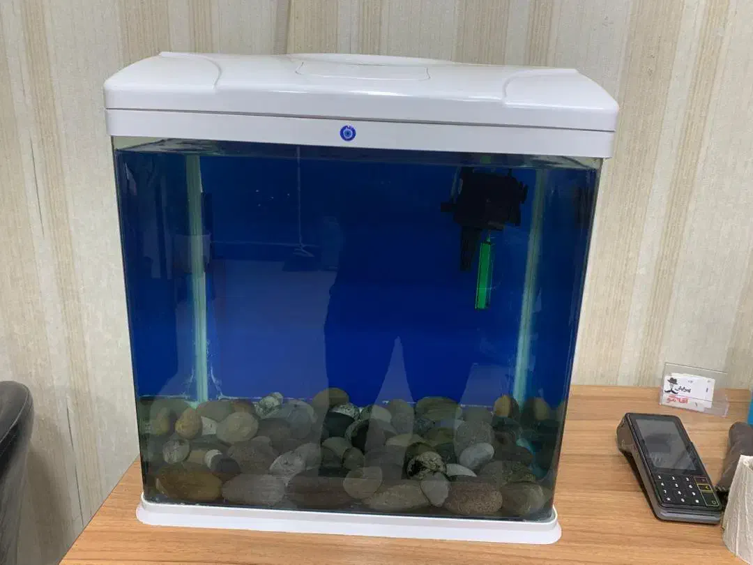 اکواریوم شیشه خم|ماهی|خرم‌آباد, |دیوار