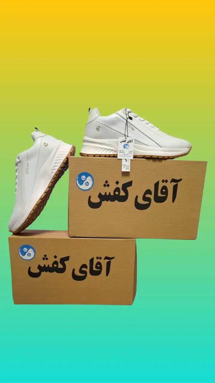 کفش|کیف، کفش، کمربند|اهواز, کوی نفت|دیوار