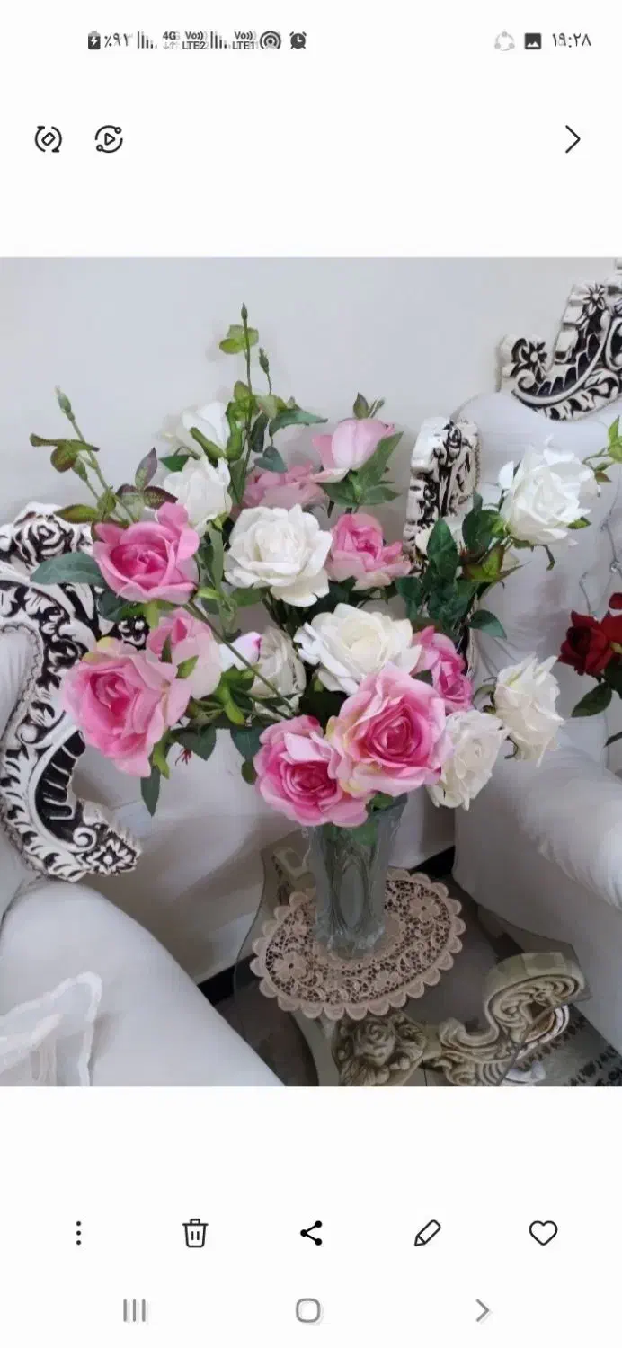 گل رز|گل و گیاه طبیعی|بروجرد, |دیوار