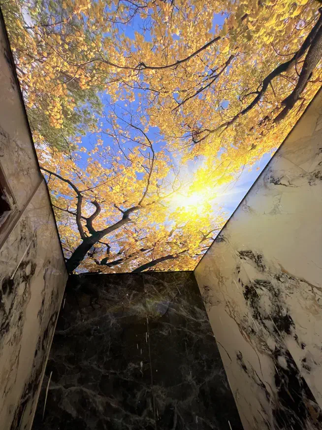 سقف کاذب و قرنیز|خدمات پیشه و مهارت|کرج, گوهردشت|دیوار