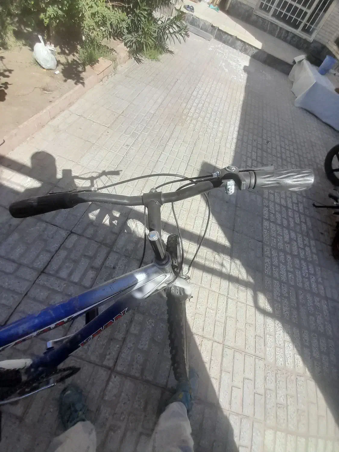 دوچرخه ۲۶ فوری پول لازم|دوچرخه، اسکیت، اسکوتر|تربتحیدریه, کاشانی|دیوار