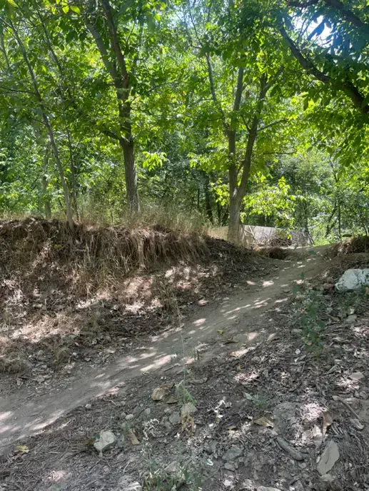 ۱۰۰۰ متر باغ گردو سرکان|فروش زمین و ملک کلنگی|تویسرکان, |دیوار