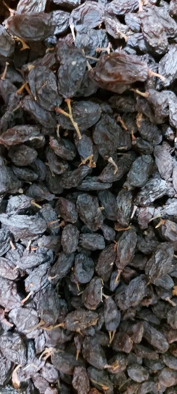 فخری و کشمش|خوردنی و آشامیدنی|میاندوآب, |دیوار