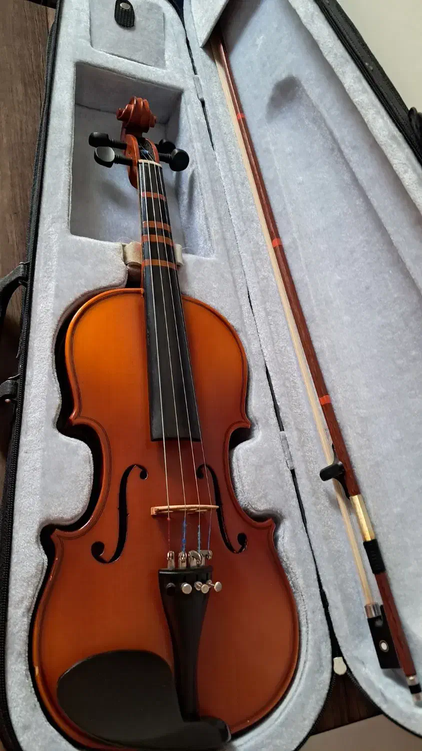 ویولن TF Student|ویولن|تهران, نارمک جنوبی|دیوار