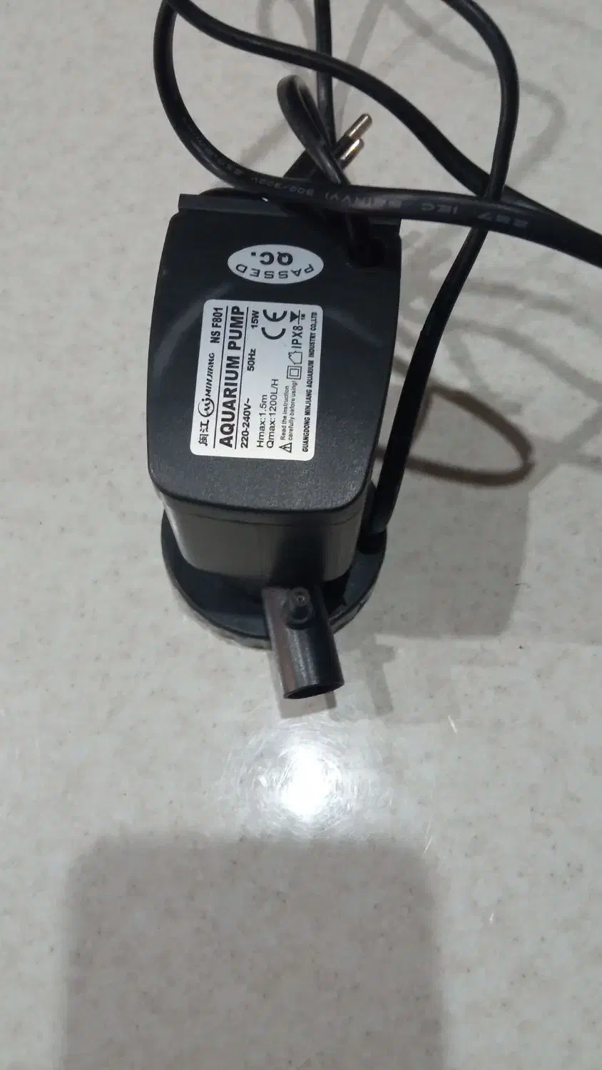 آکواریوم|ماهی|کرمان, |دیوار