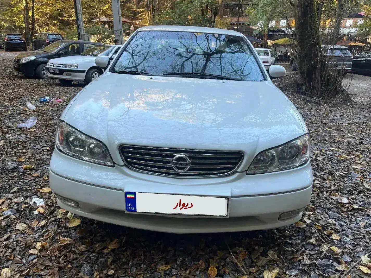 ماکسیما مدل ۸۹ بدون رنگ تمیز|خودرو سواری و وانت|قائم‌شهر, |دیوار