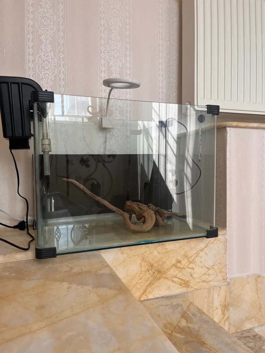 آکواریوم پلنت|ماهی|مهاباد (آذربایجان غربی), |دیوار