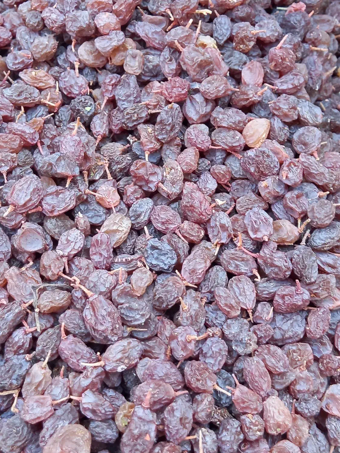 کشمش پلویی|خوردنی و آشامیدنی|ملایر, |دیوار