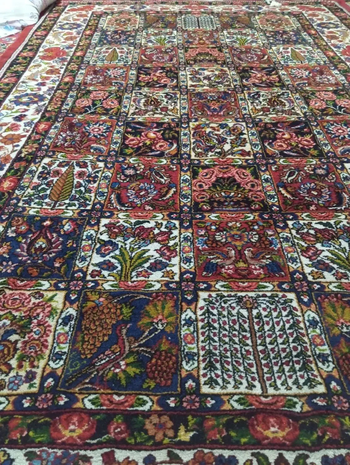 قالی دست بافت|فرش|شهرکرد, |دیوار