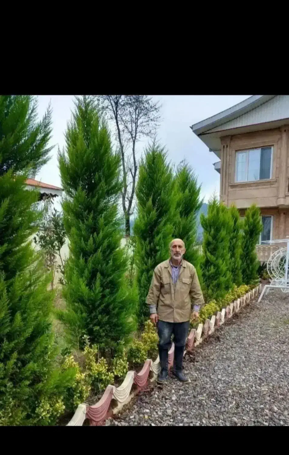 خدمات باغبانی ودرخت کاری کودهی هرسکاری تمام پردیس|خدمات باغبانی و درختکاری|پردیس, شهرک صنعتی خرمدشت فاز ۷|دیوار