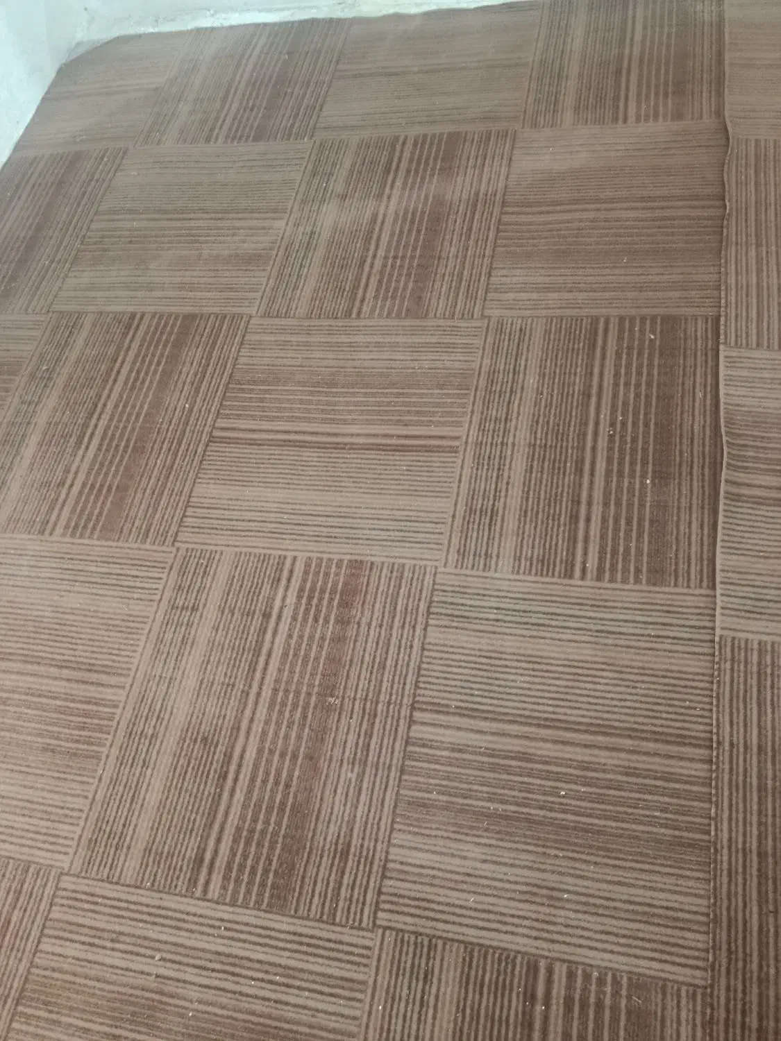 موکت نو|موکت|بجنورد, |دیوار