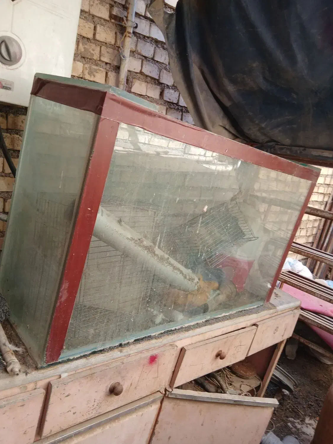 آکواریوم|ماهی|خرمشهر, |دیوار