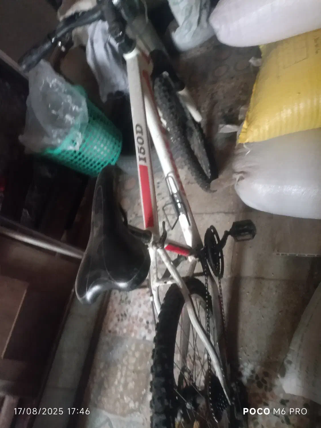 دوچرخه|دوچرخه، اسکیت، اسکوتر|رومشکان, |دیوار