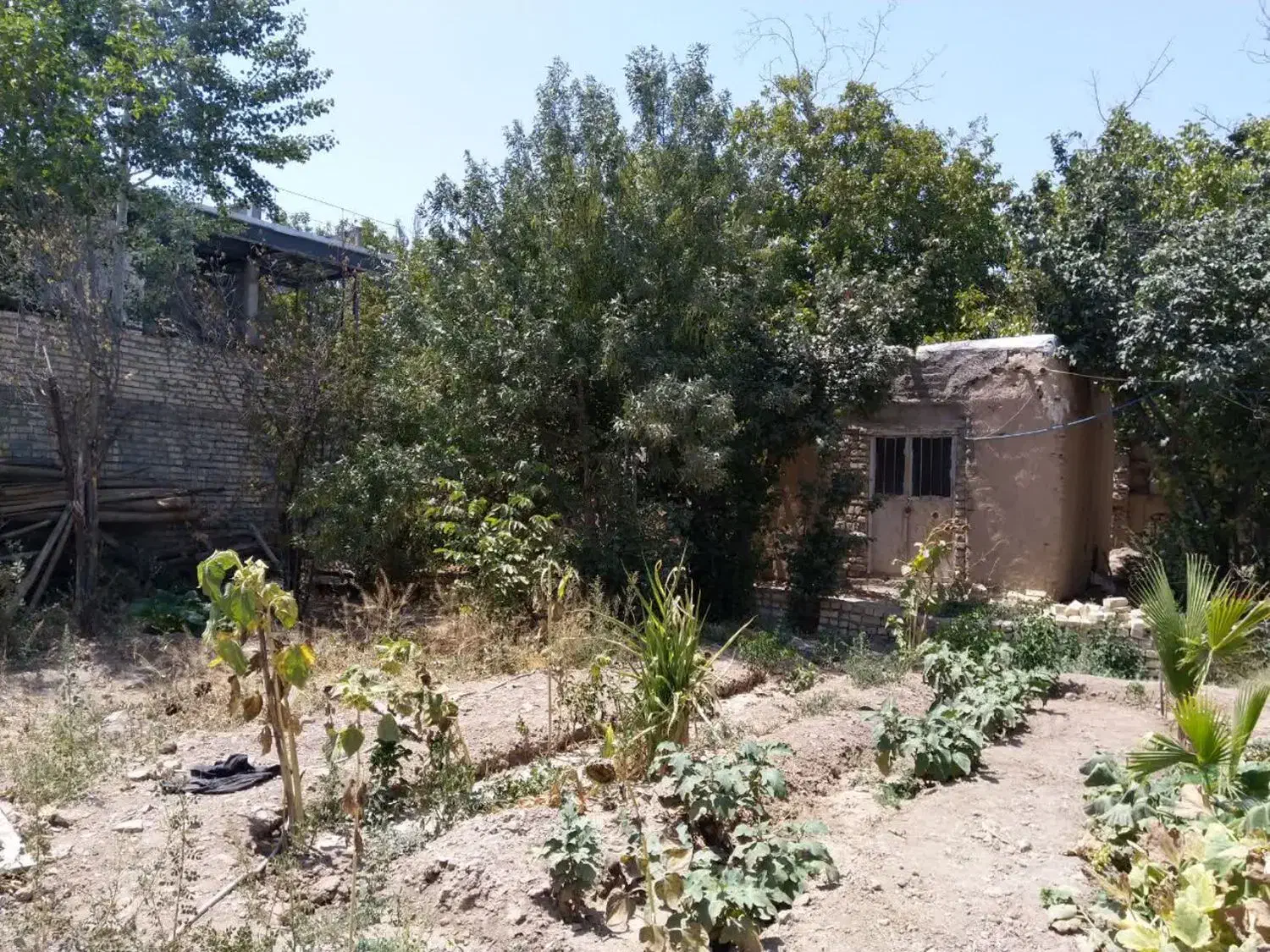 زمین مناسب ساخت ویلا قمصر|فروش زمین و ملک کلنگی|قمصر, |دیوار