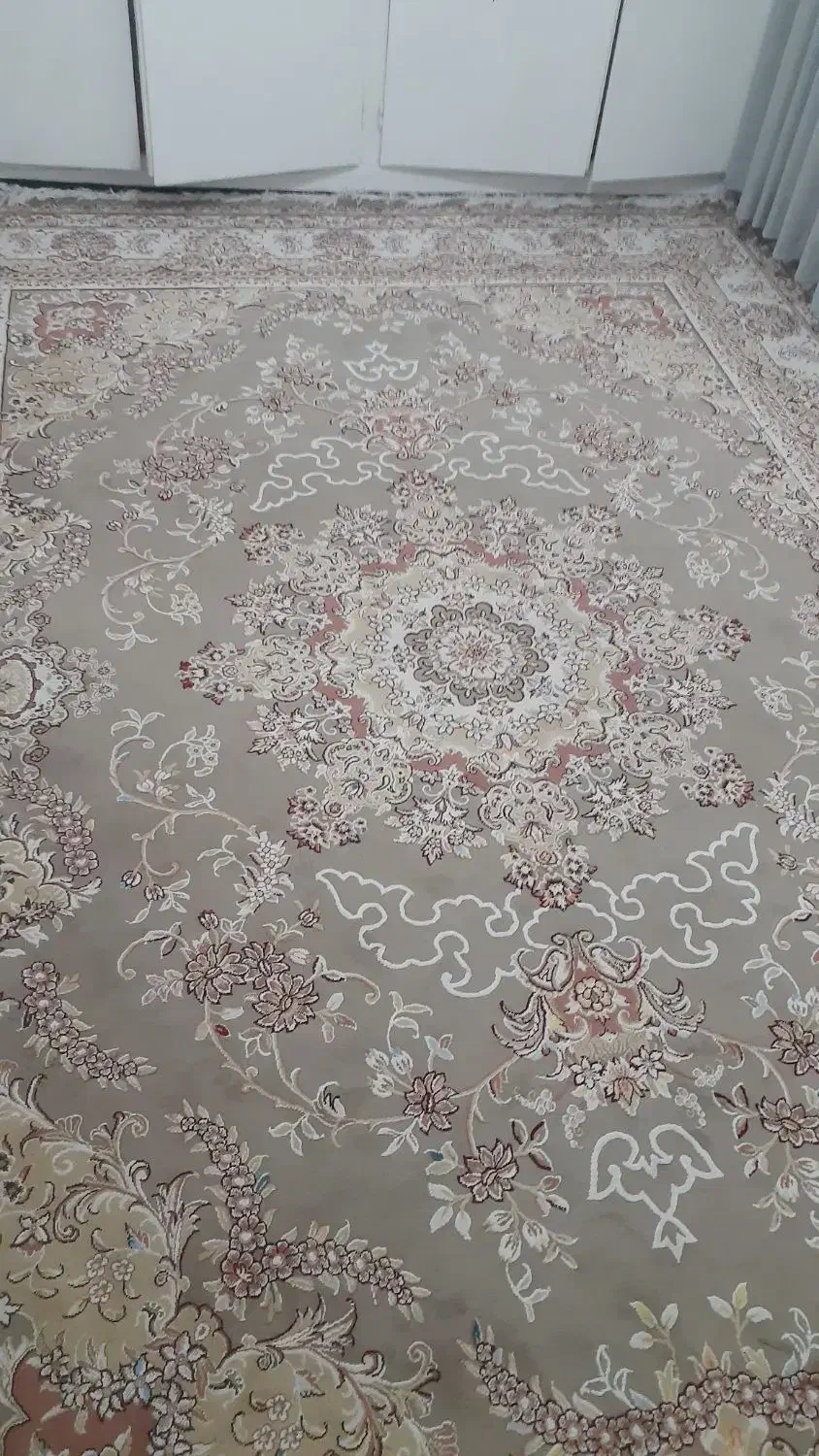 فرش ۱۲ متری|فرش|فولادشهر, B2|دیوار