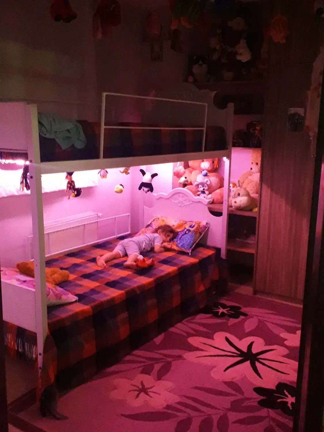 تخته خواب دو طبقه فلزی و وکیوم|تخت و سرویس خواب|تبریز, |دیوار