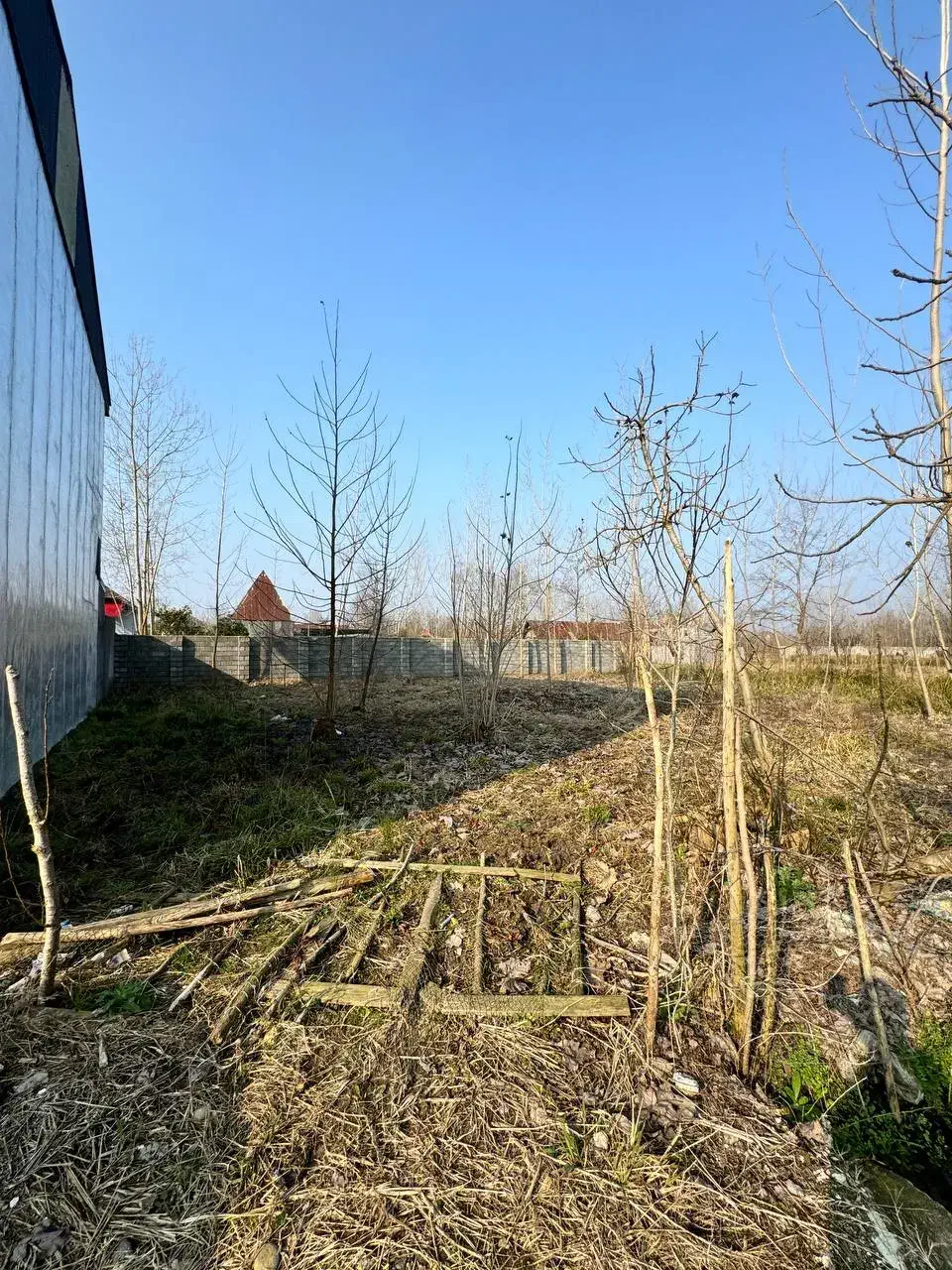 زمین ۲۱۶ متری مسکونی باپروانه ساخت روستایی لنگرود|فروش زمین و ملک کلنگی|چاف و چمخاله, |دیوار