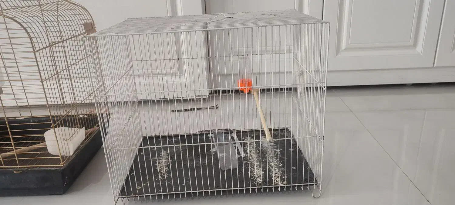 دو عدد قفس|لوازم جانبی حیوانات|مشهد, فارغ التحصیلان|دیوار