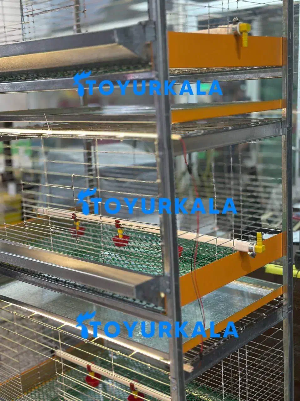 فروش بهتر+اکبر جوجه با قفس جوجه / قفس مرغ گوشتی|لوازم جانبی حیوانات|محمودآباد, |دیوار